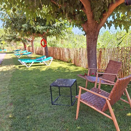 Moli De Hotel